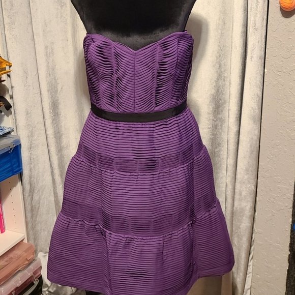 BCBG Max Azria Purple Strapless Dress Size 10 NWT - Picture 2 of 5